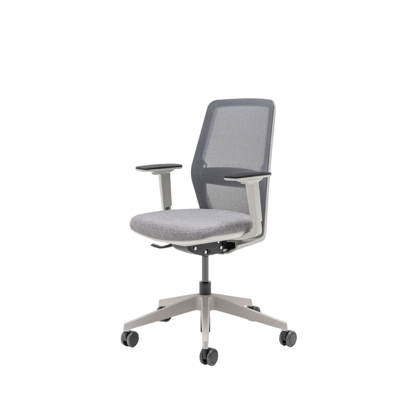 Krēsls Eho 1 61/66/106 cm pelēks/dažādas polsterējuma krāsas - N1 Home