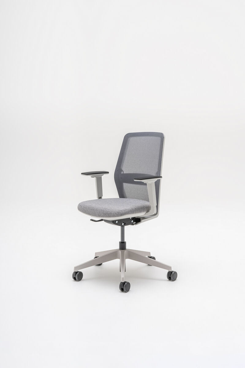 Krēsls Eho 1 61/66/106 cm pelēks/dažādas polsterējuma krāsas - N1 Home